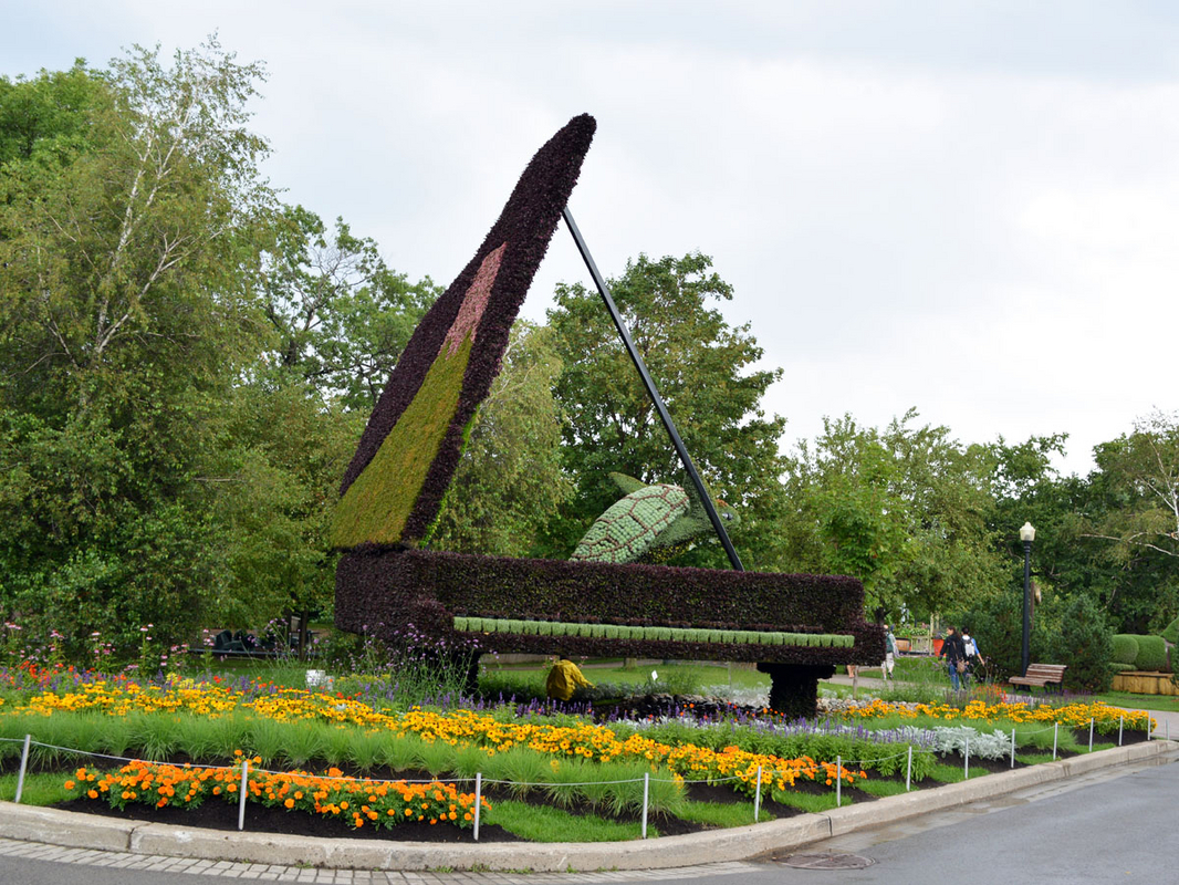 DSC_0366.JPG
