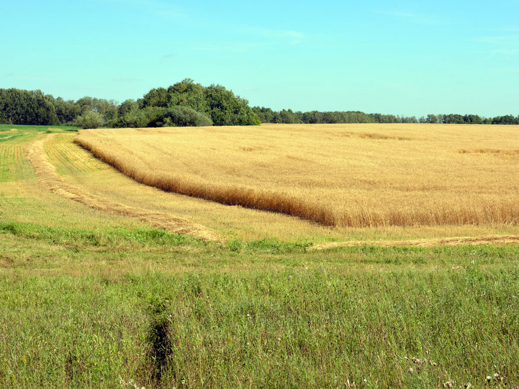 DSC_0752.JPG