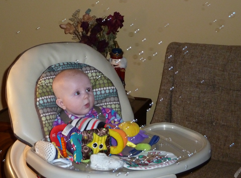 P1000221.jpg