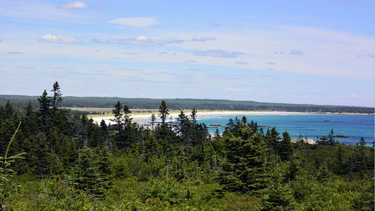 _DSC0142~0.jpg