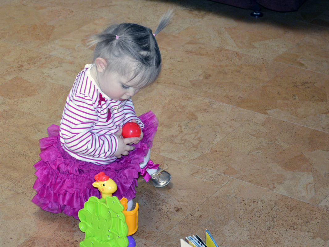 _DSC2401.jpg