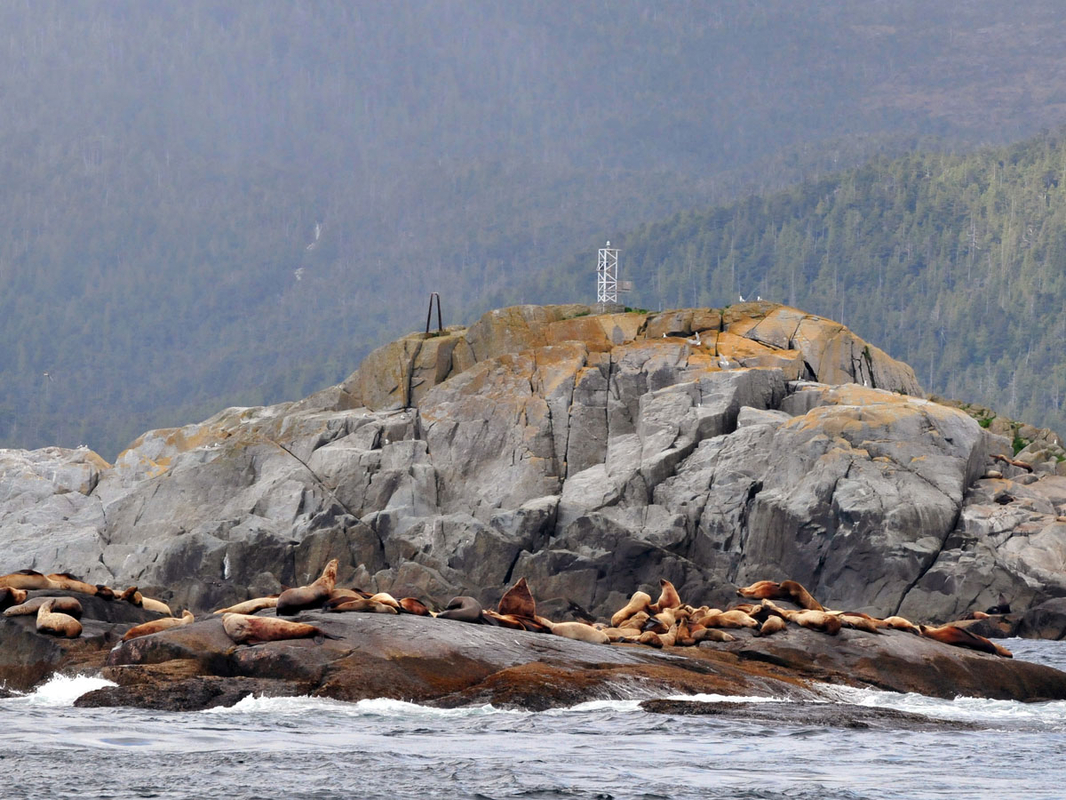 _DSC5822.jpg