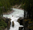 IMG_0830.JPG