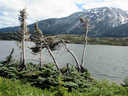 IMG_4264.JPG