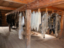 P1000961_800x600.JPG