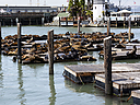 _DSC2512.jpg