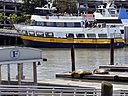 _DSC2515.jpg