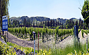 _DSC3222-27.JPG