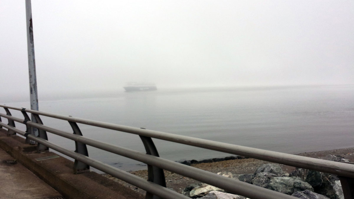 20160726_132811.jpg