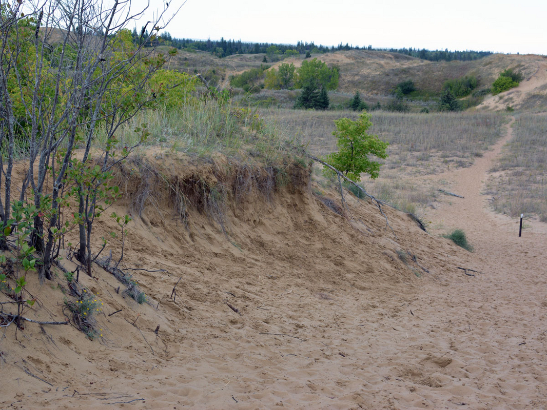 DSC_0878.JPG