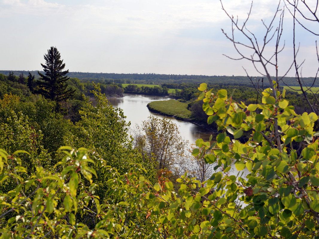 DSC_0926.JPG