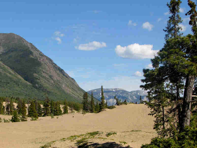 The World's Smallest Desert, Carcross, Yukon Territory
