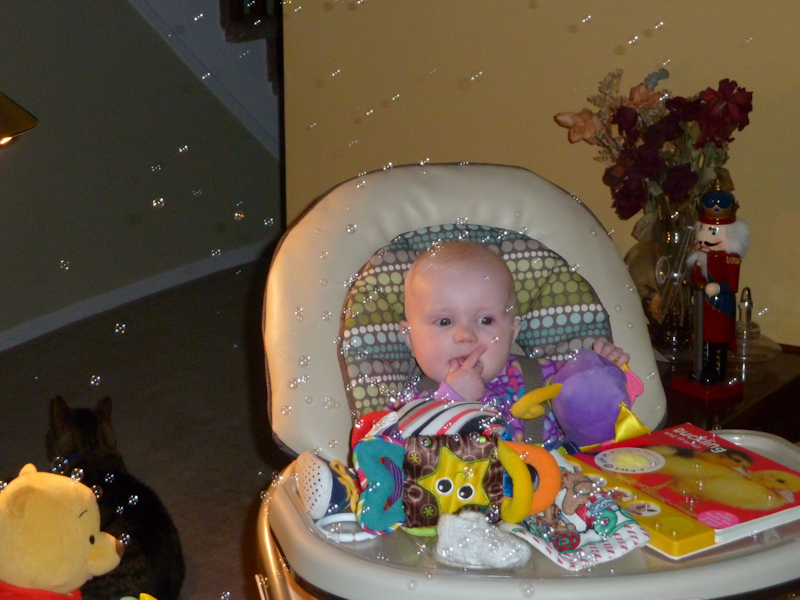 P1000245.JPG