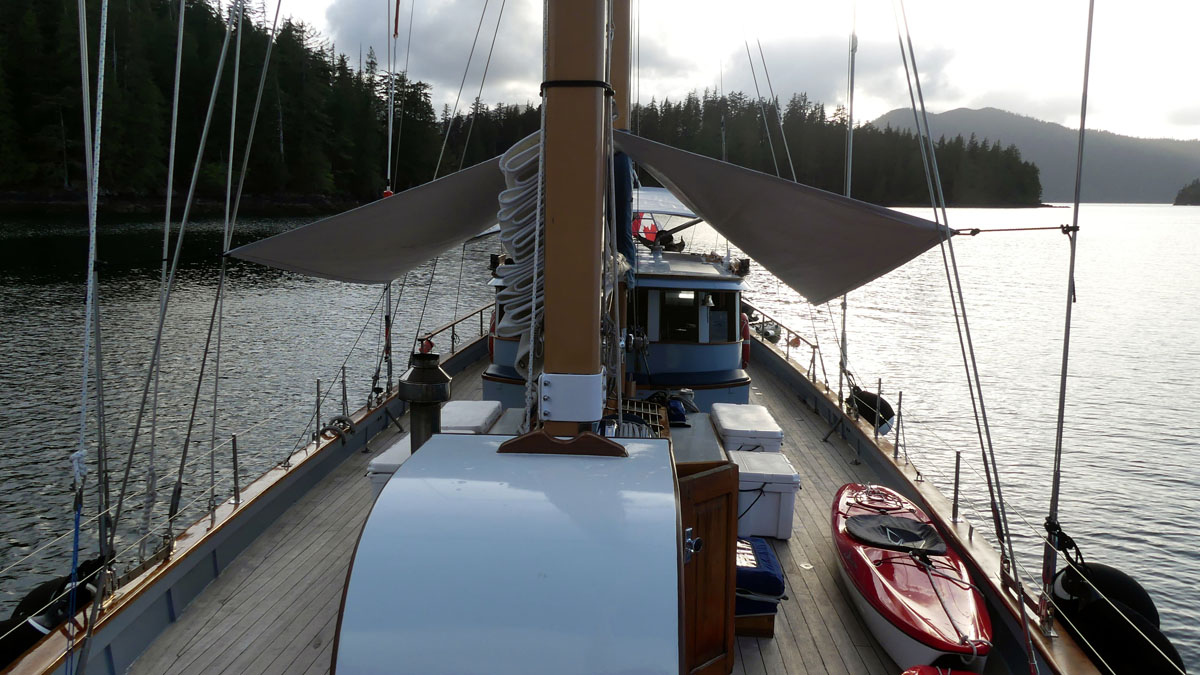 P1000259.jpg