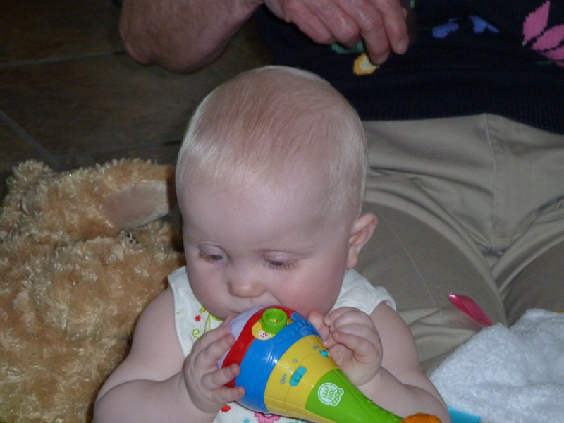 P1000407_rev.JPG