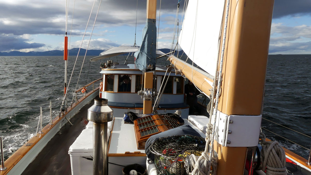 P1000491.jpg