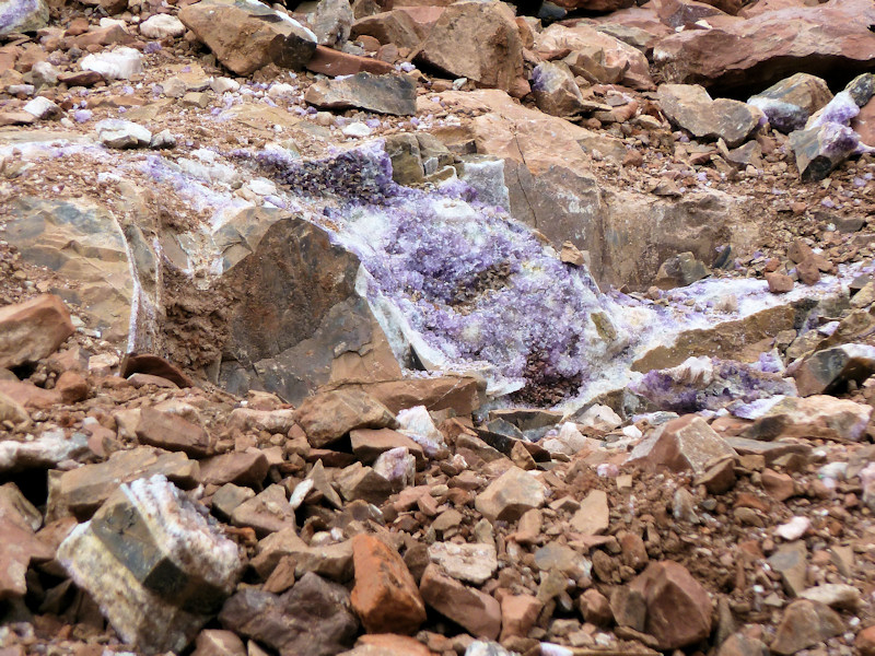 P1000723_800x600.JPG
