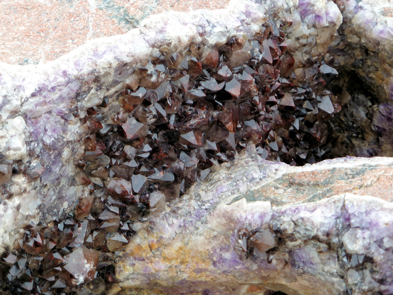 P1000736_800x600.JPG