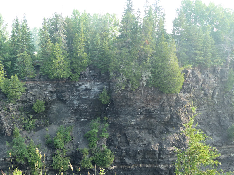 P1000768_rev_800x600.JPG
