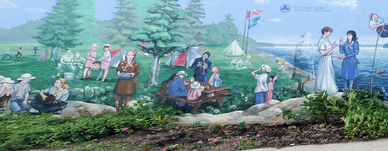 P1000823_rev_800x311.jpg