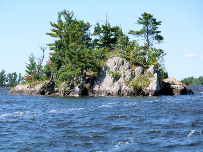 P1000847_800x600.JPG