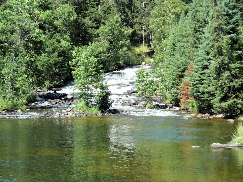 P1000863_800x600.JPG