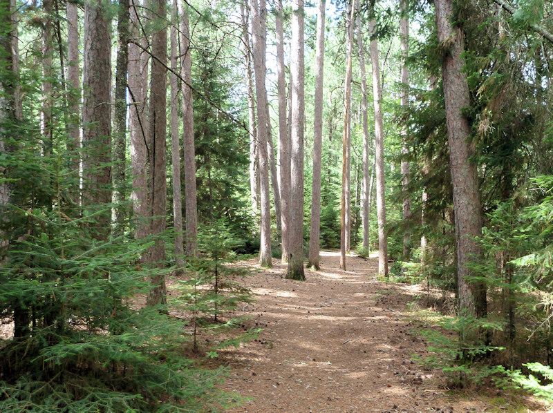 P1000887_rev_800x600.JPG