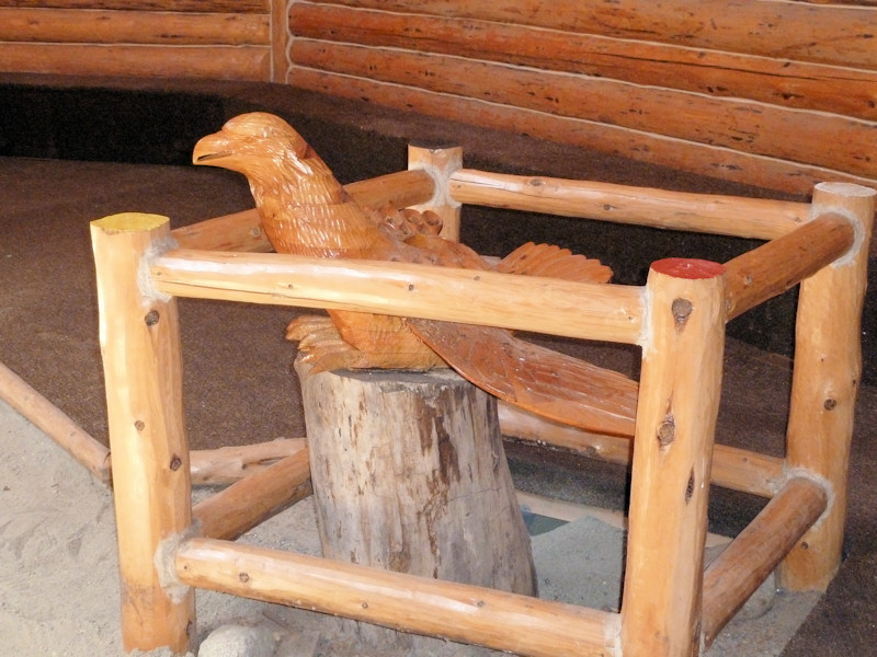 P1000920_800x600.JPG