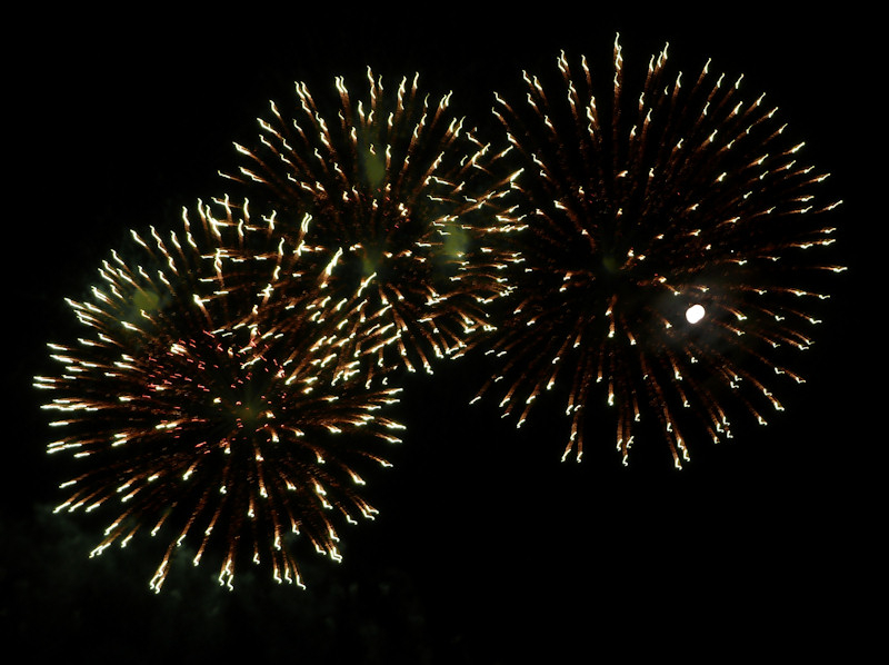 P1010260.JPG