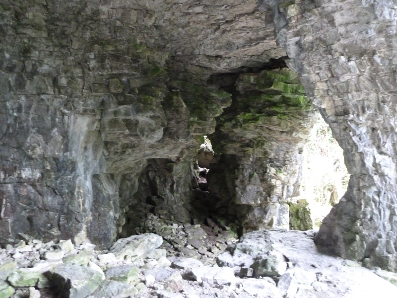 P1020566.jpg