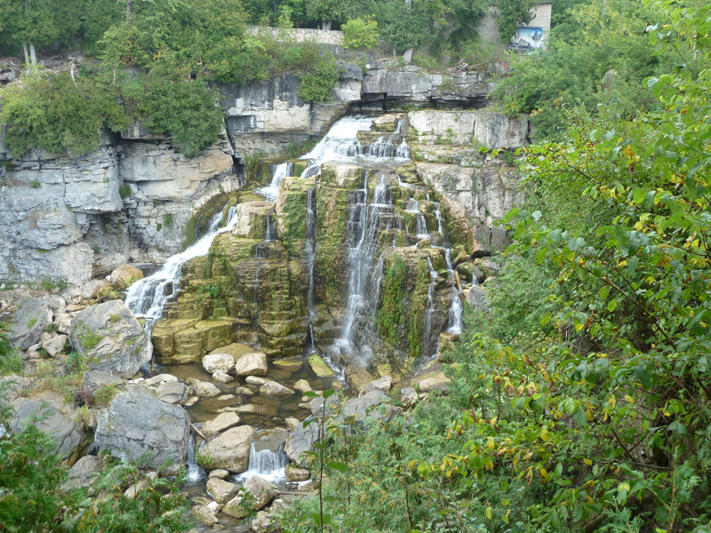 P1020578.jpg