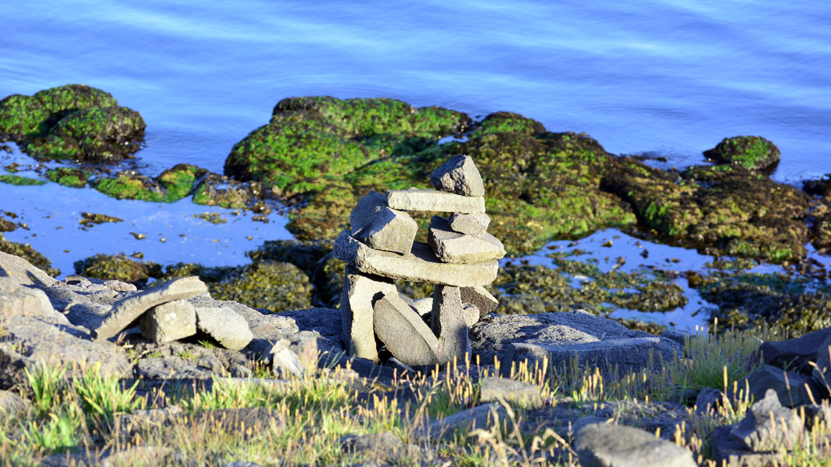_DSC0052.jpg