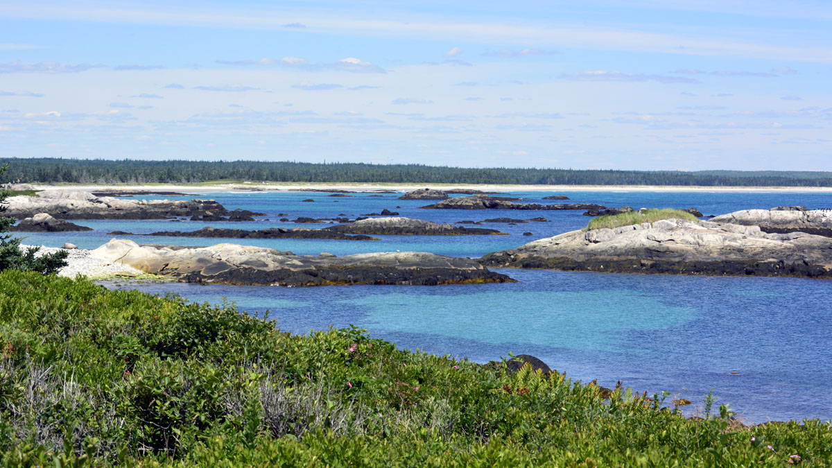 _DSC0075.jpg