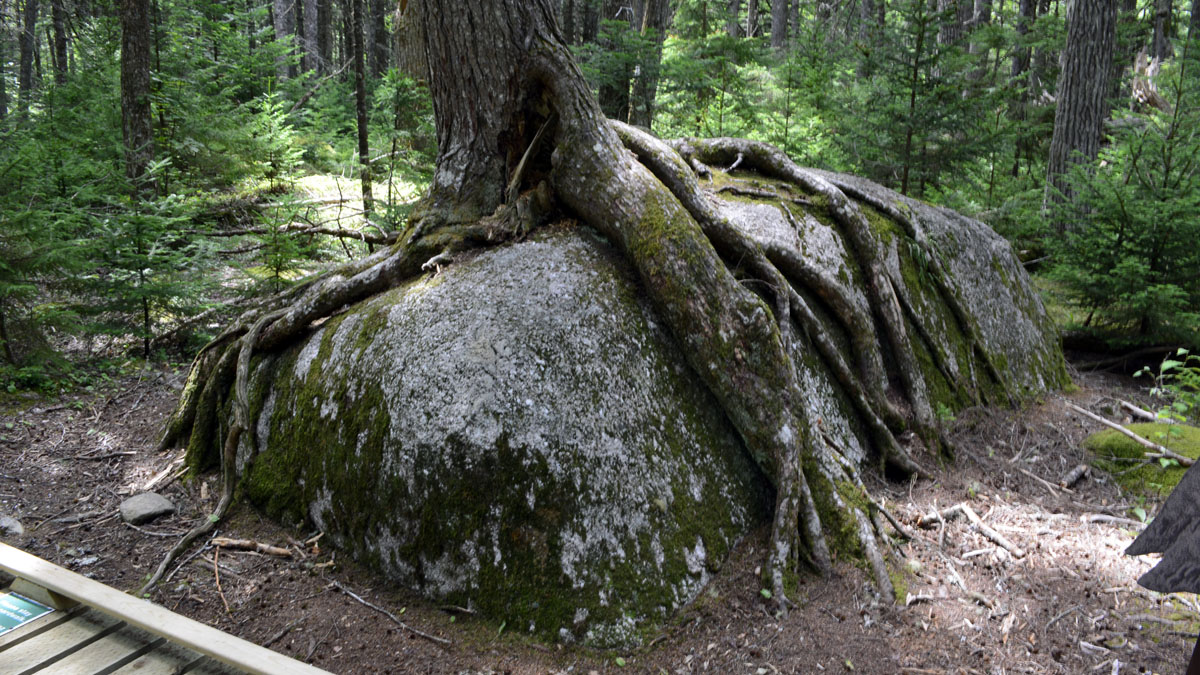 _DSC0148~0.jpg