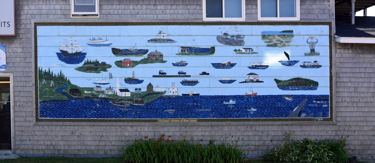 _DSC0906.jpg