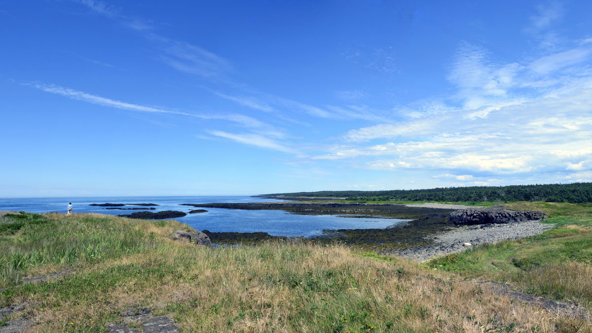_DSC0941_-_952.jpg