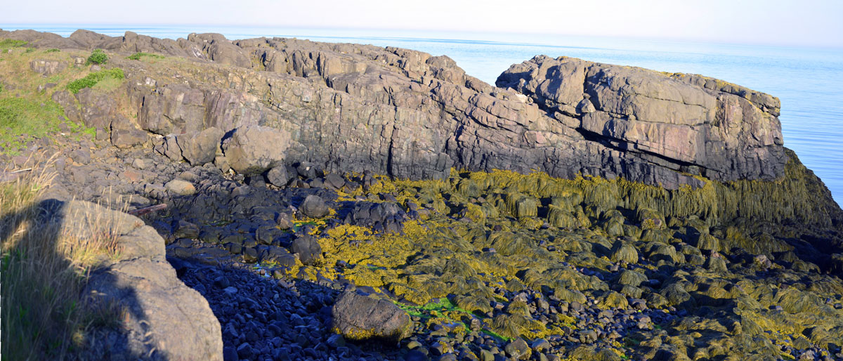 _DSC0992_-_1002.JPG