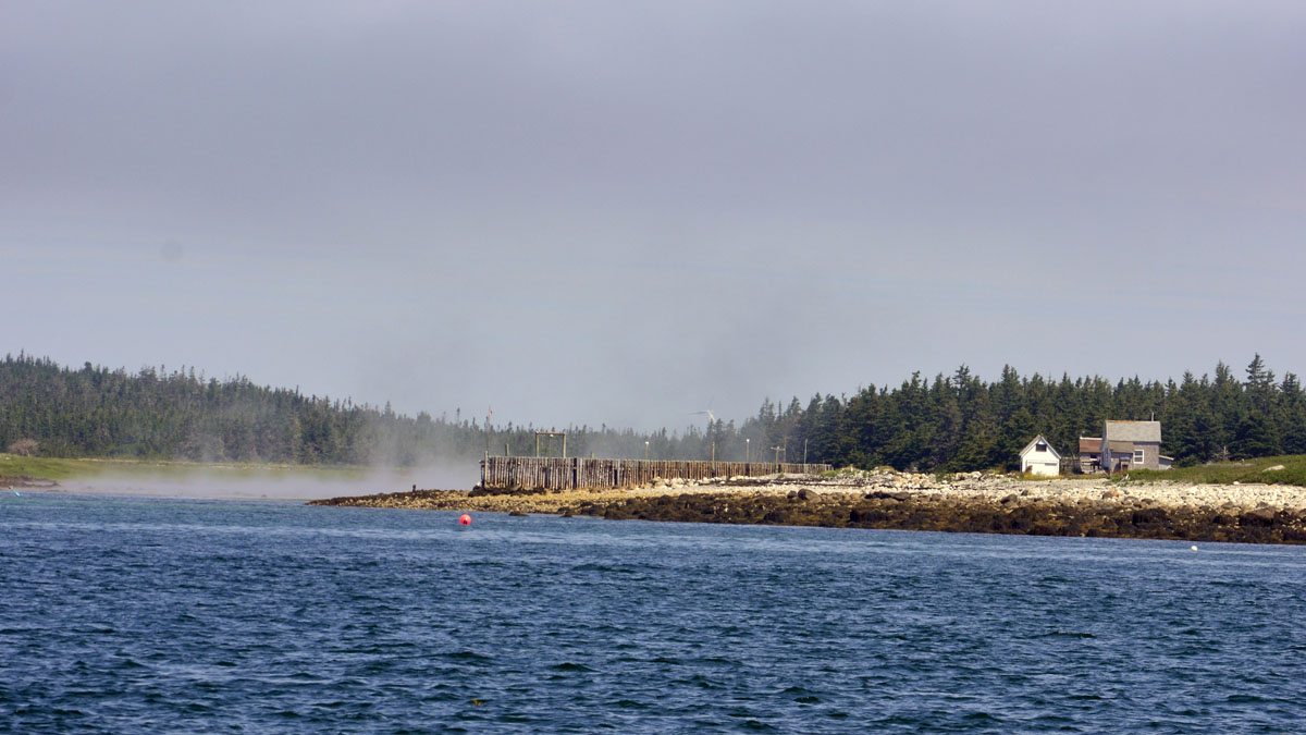 _DSC1843.jpg