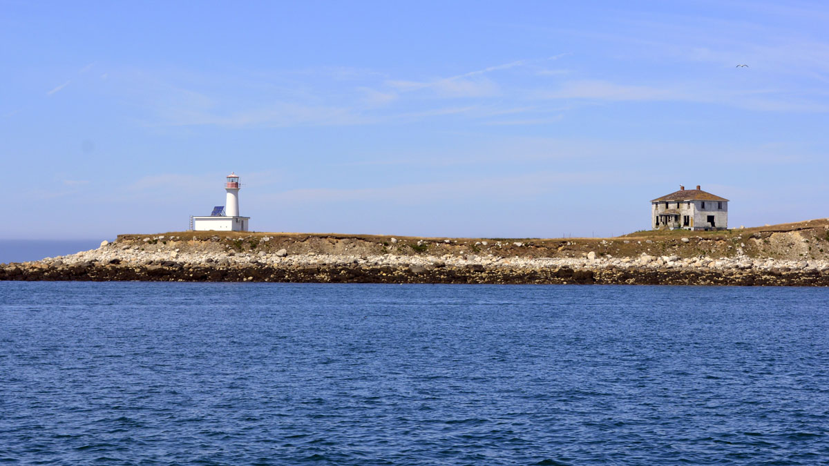 _DSC1875.jpg