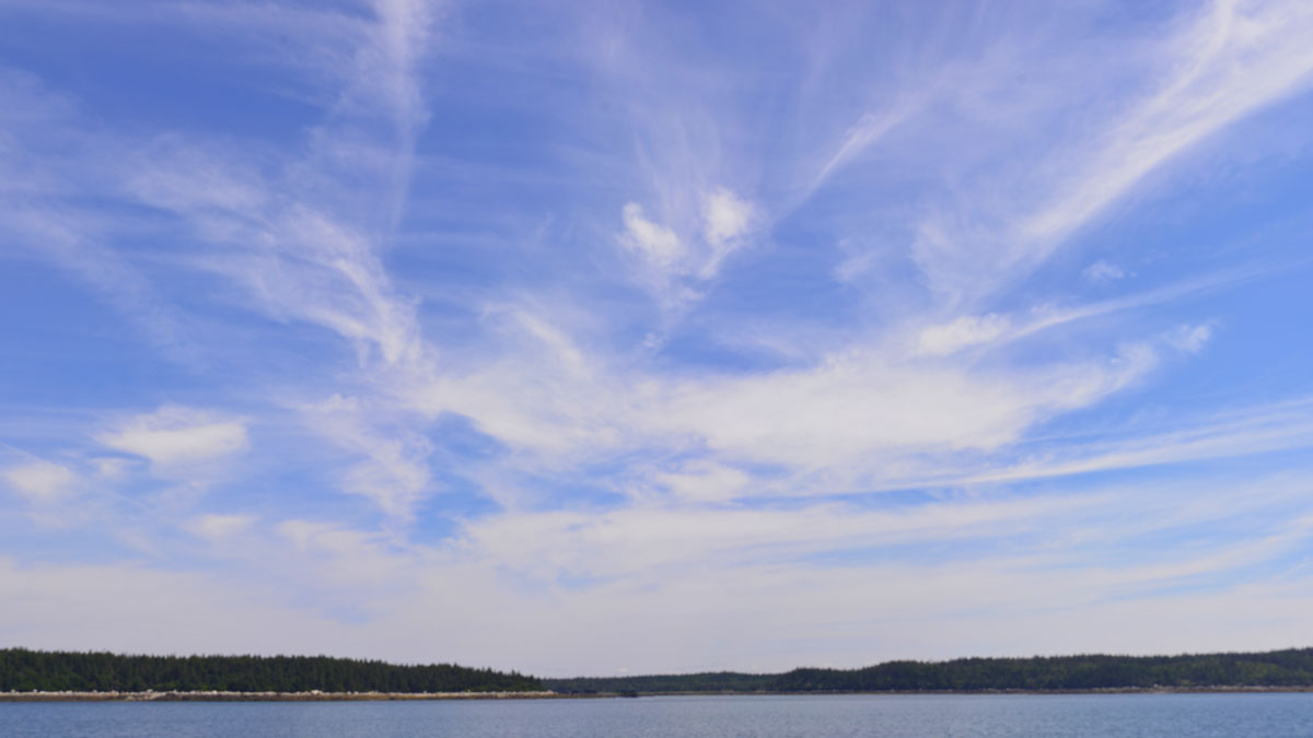 _DSC1888_-_1901.jpg