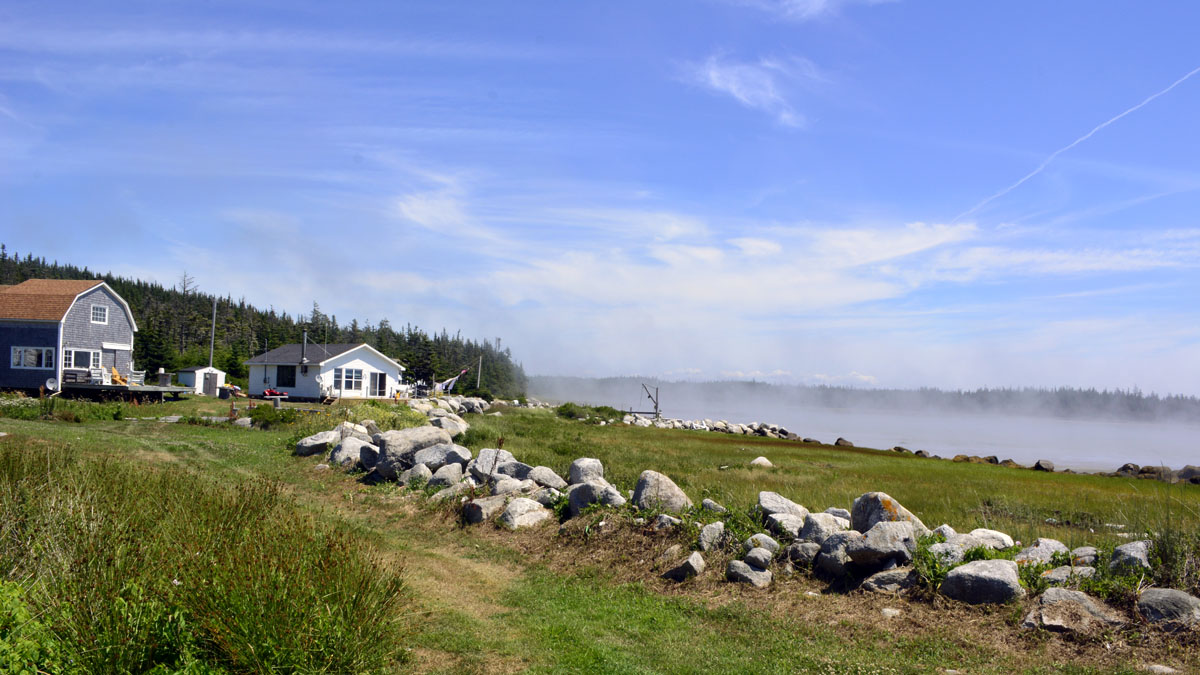 _DSC1954.jpg