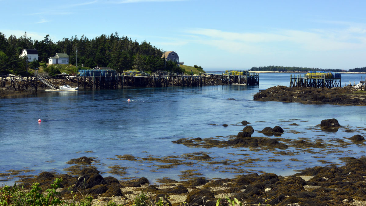 _DSC1958~0.jpg