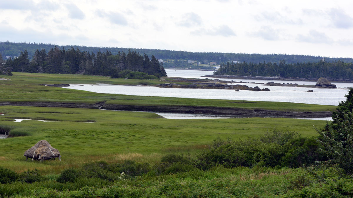 _DSC2070.jpg