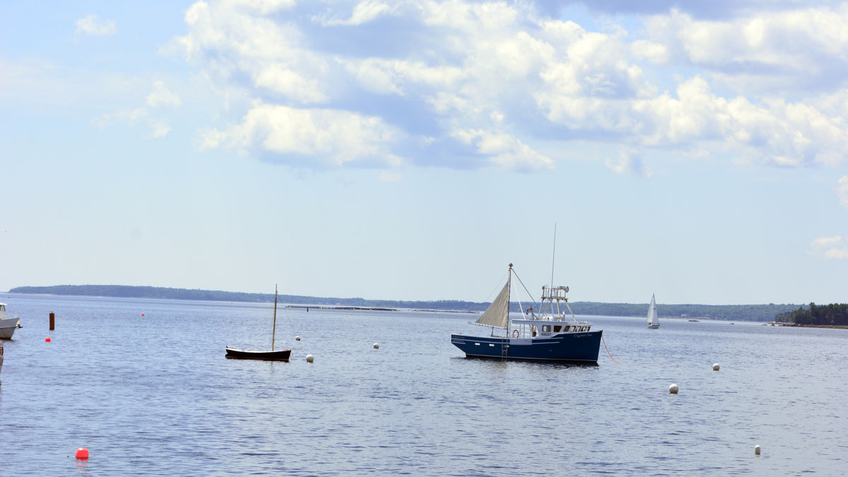 _DSC2081.jpg