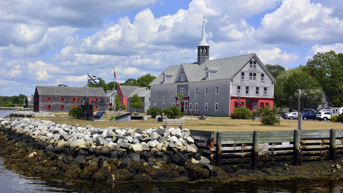 _DSC2082.jpg