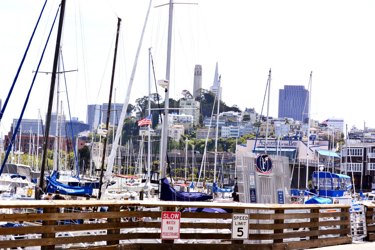 _DSC2548.jpg