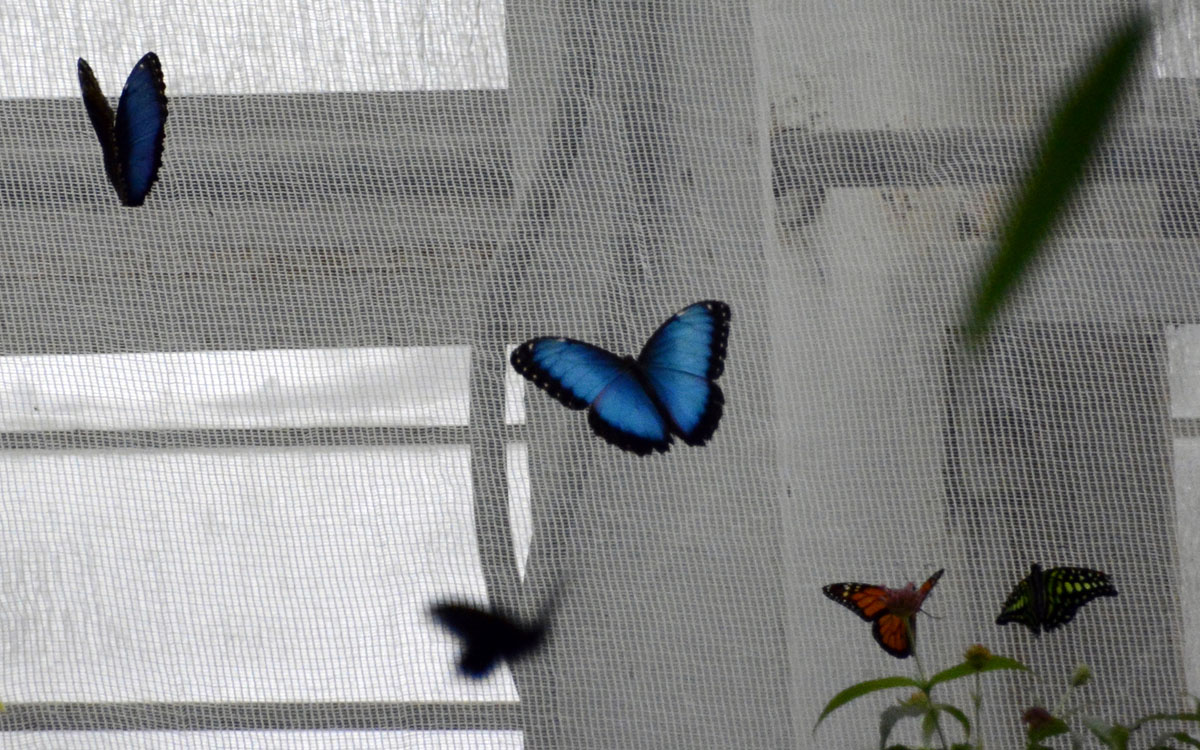 _DSC8383.jpg