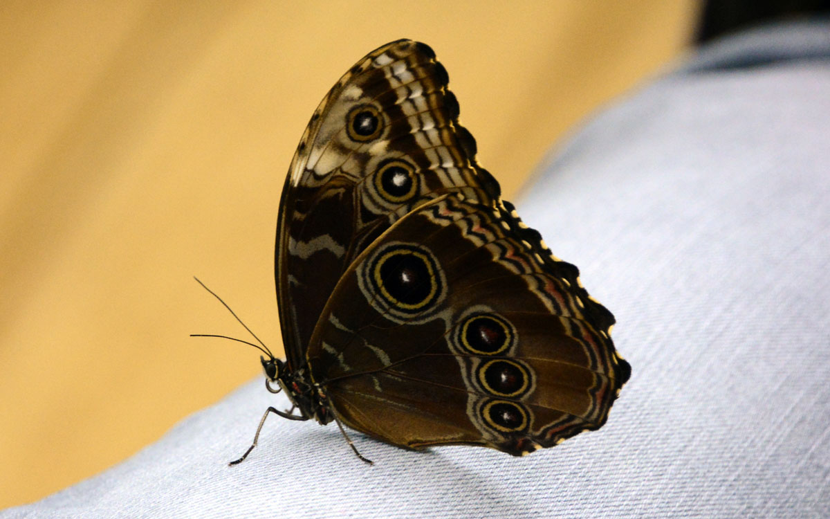 _DSC8550~0.jpg