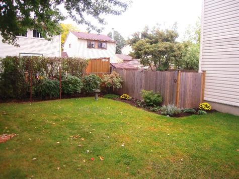 back_yard.jpg
