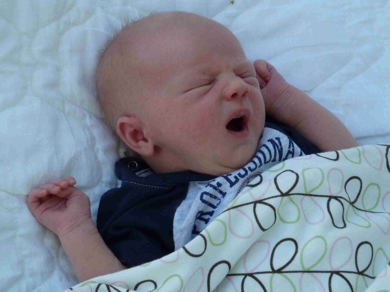 The Big Yawn
